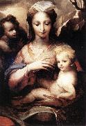BECCAFUMI, Domenico Madonna with the Infant Christ and St John the Baptist  gfgf Germany oil painting reproduction